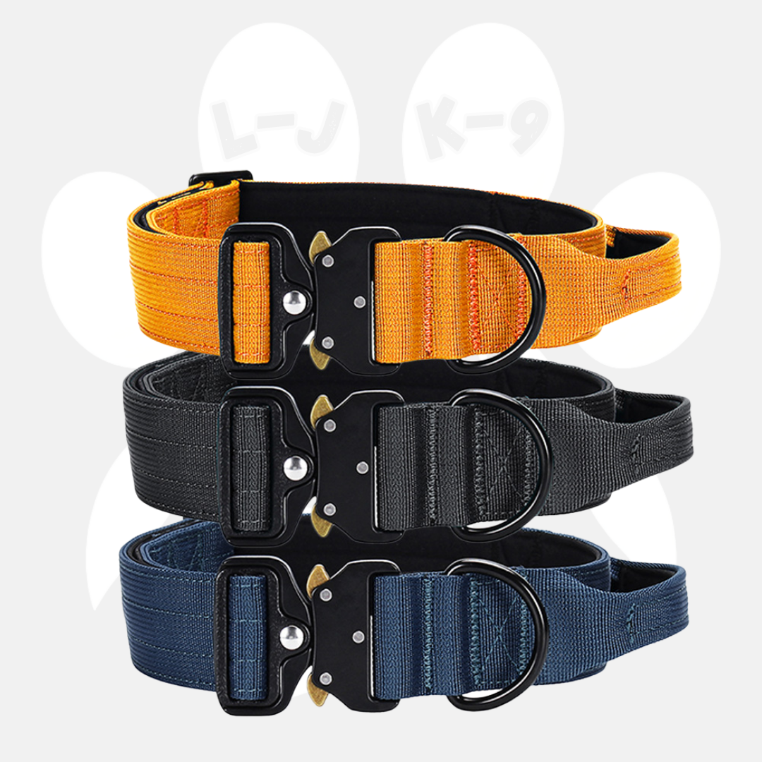Sleek-Lux Padded Dog Collar