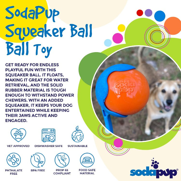 Squeak Ball - Durable Squeaky Dog Toy, Floats, Chew Toy | USA Made