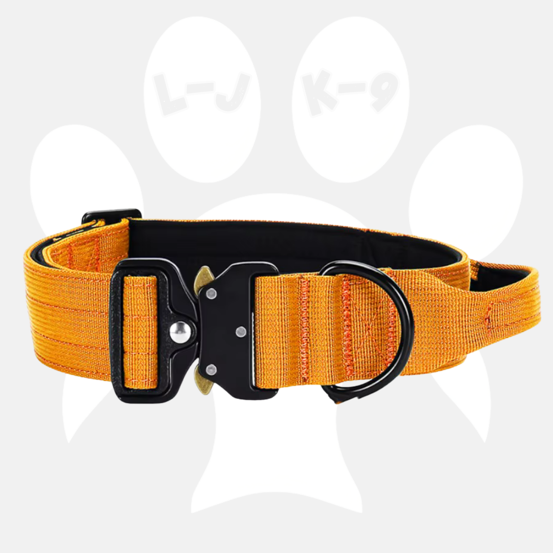 Sleek-Lux Padded Dog Collar
