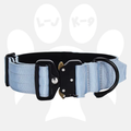 Sleek-Lux Padded Dog Collar