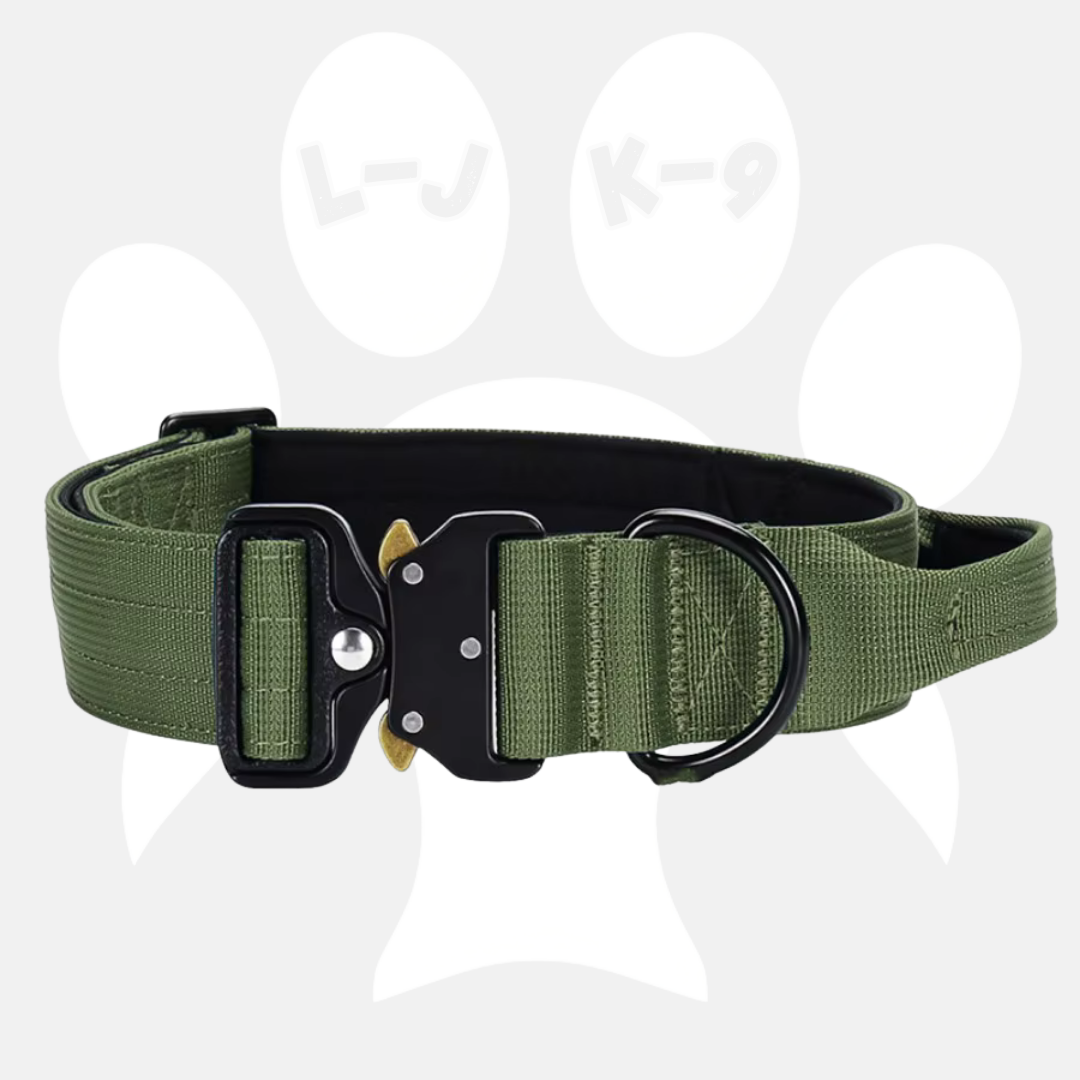 Sleek-Lux Padded Dog Collar