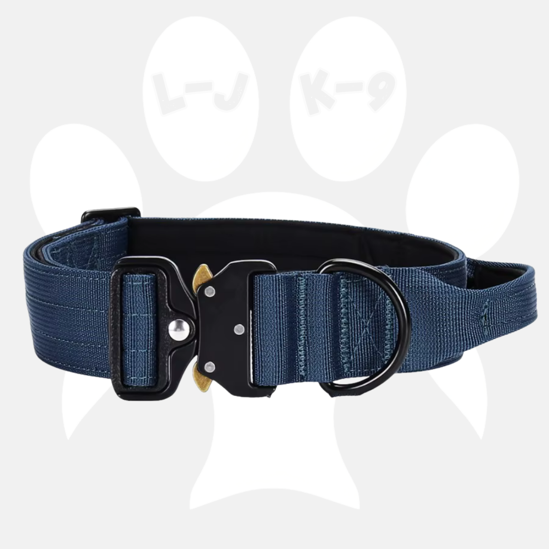 Sleek-Lux Padded Dog Collar