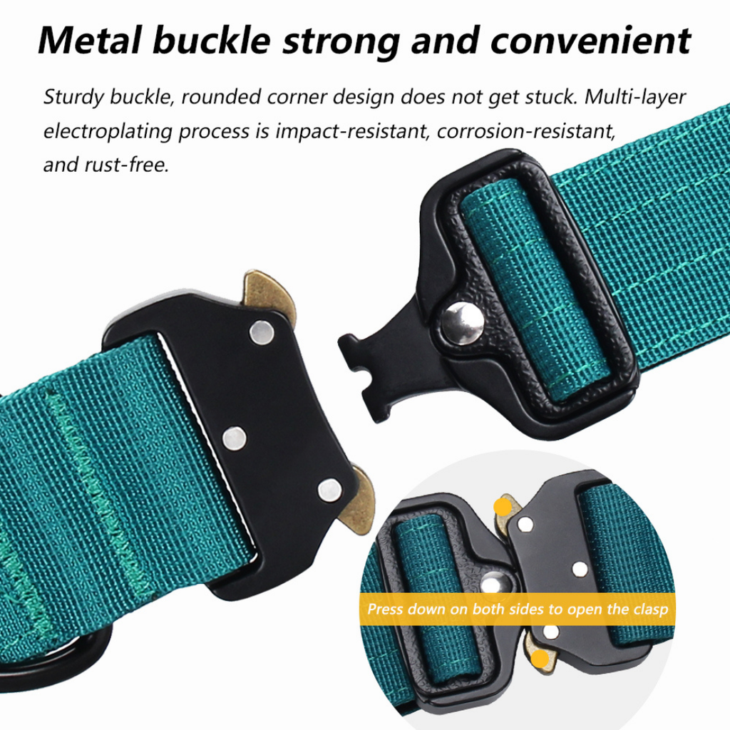 Sleek-Lux Padded Dog Collar