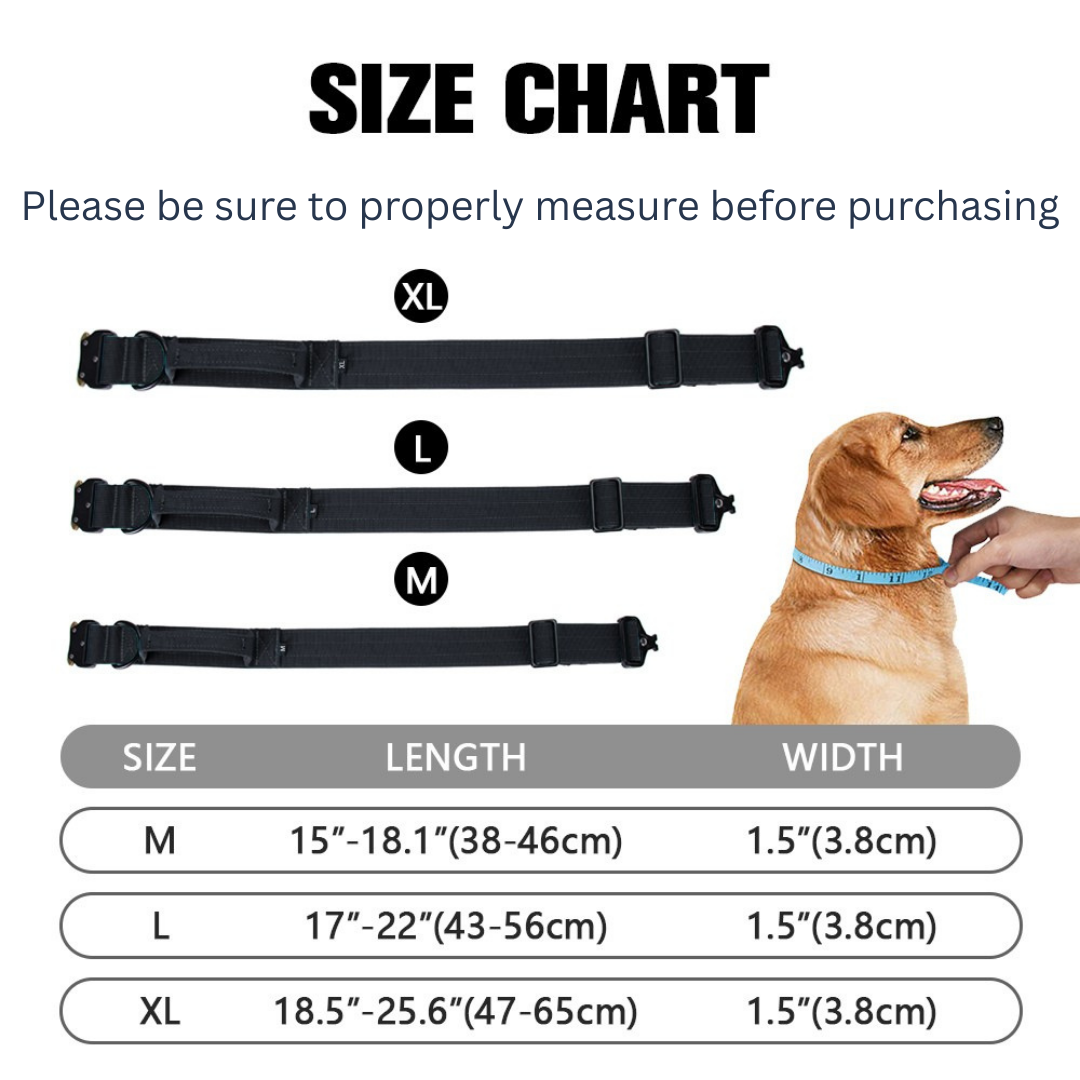 Sleek-Lux Padded Dog Collar