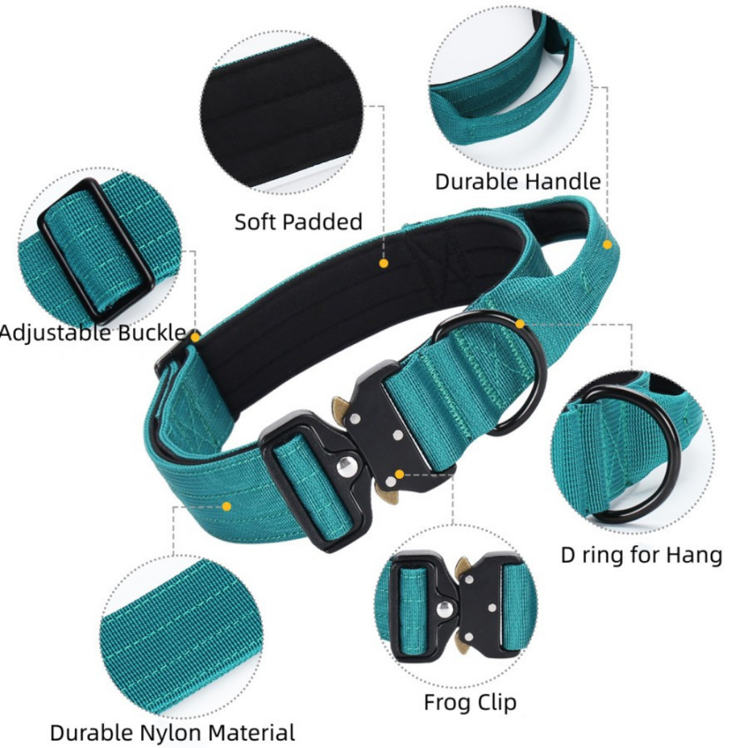 Sleek-Lux Padded Dog Collar