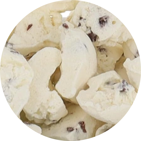 Freeze Dried Ice Cream That Does Not Melt (Bits) Chocolate Chip