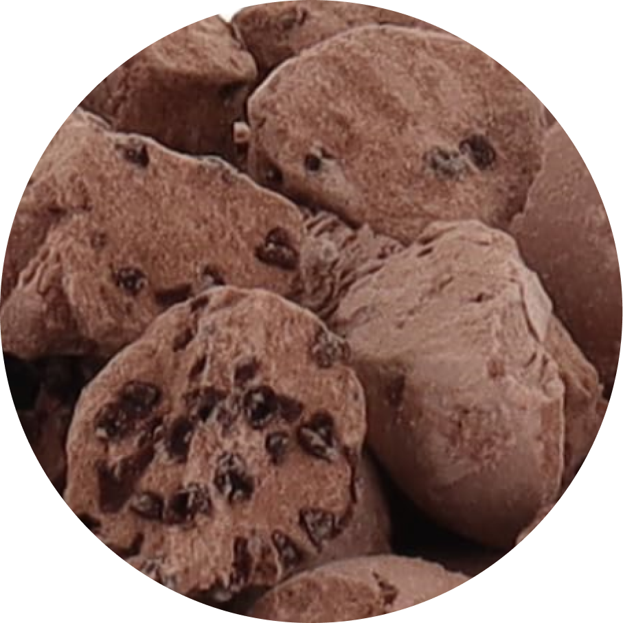 Freeze Dried Ice Cream That Does Not Melt (Bits) Chocolate Chocolate Chip