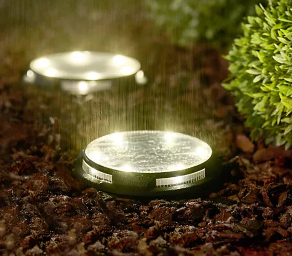Energizer 10-pc Solar Disc Lights Multi-Direction 20 Lumen