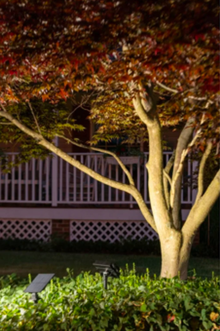 3 Color Temperature 180° Solar Powered Flood Light Outdoor 230 Lumen - Waterproof Bright LED Spotlight