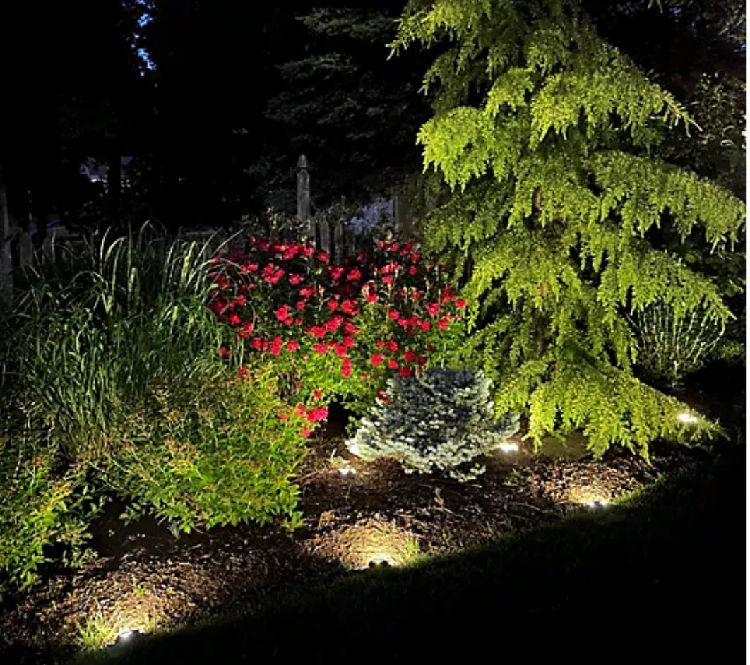 Energizer 10-pc Solar Disc Lights Multi-Direction 20 Lumen