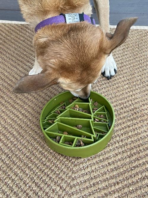 Pine Tree Christmas eBowl Deep Slow Feeder Dog Bowl for Enrichment | USA Made