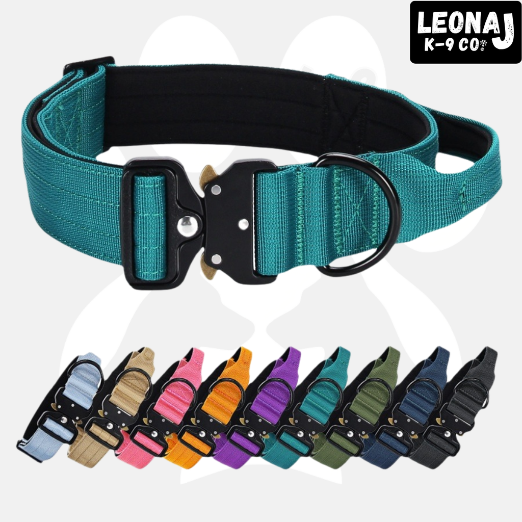 Sleek-Lux Padded Dog Collar