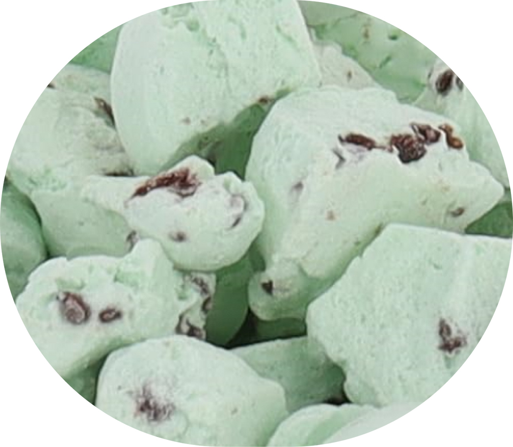 Freeze Dried Ice Cream That Does Not Melt (Bits) Mint Chip