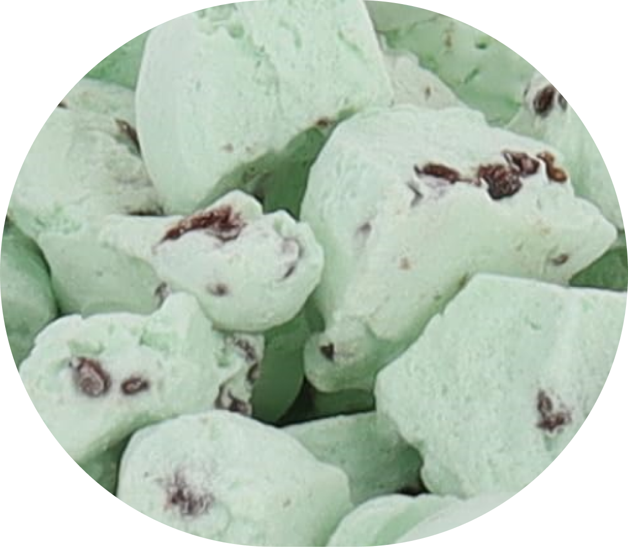 Freeze Dried Ice Cream That Does Not Melt (Bits) Mint Chip