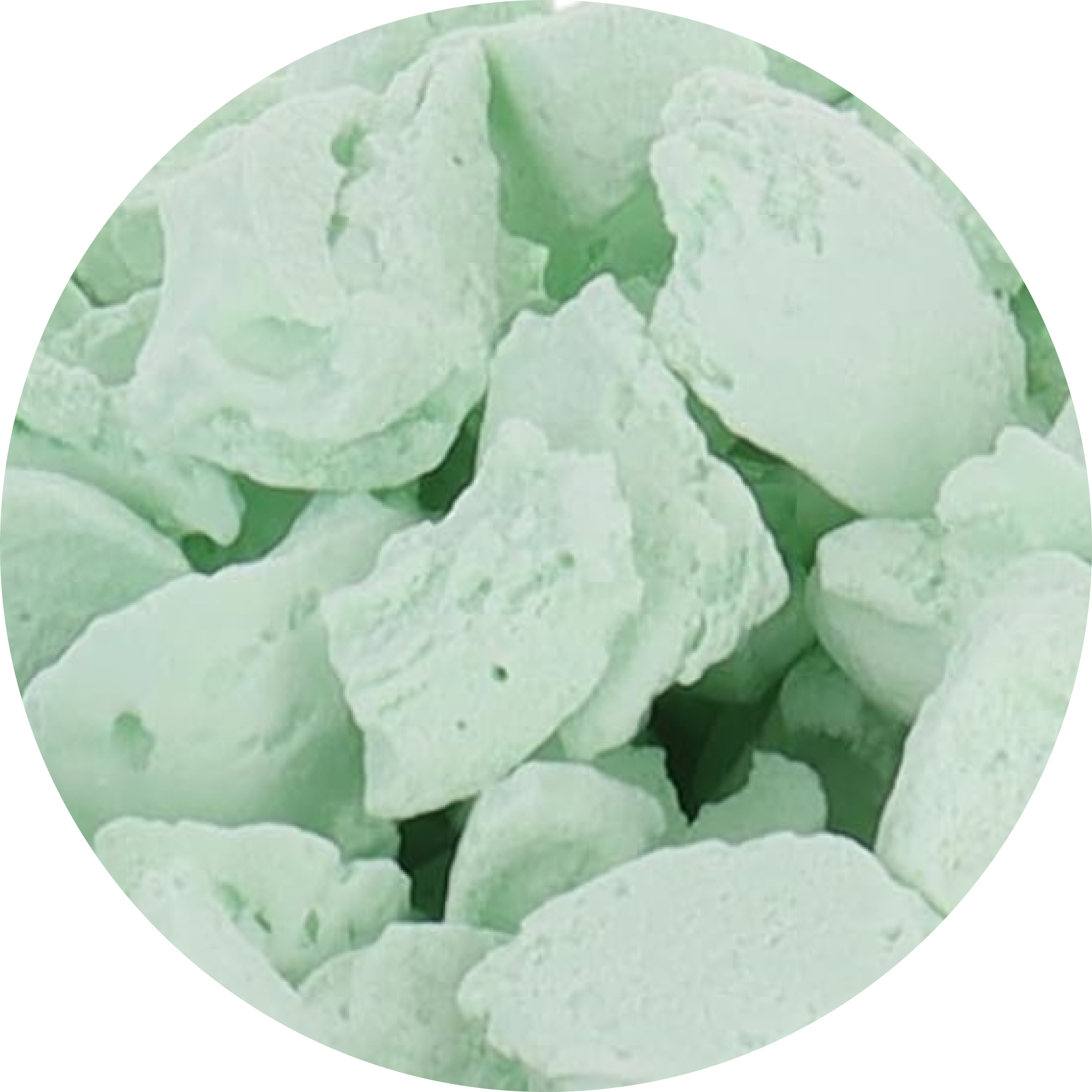 Freeze Dried Ice Cream That Does Not Melt (Bits) Mint