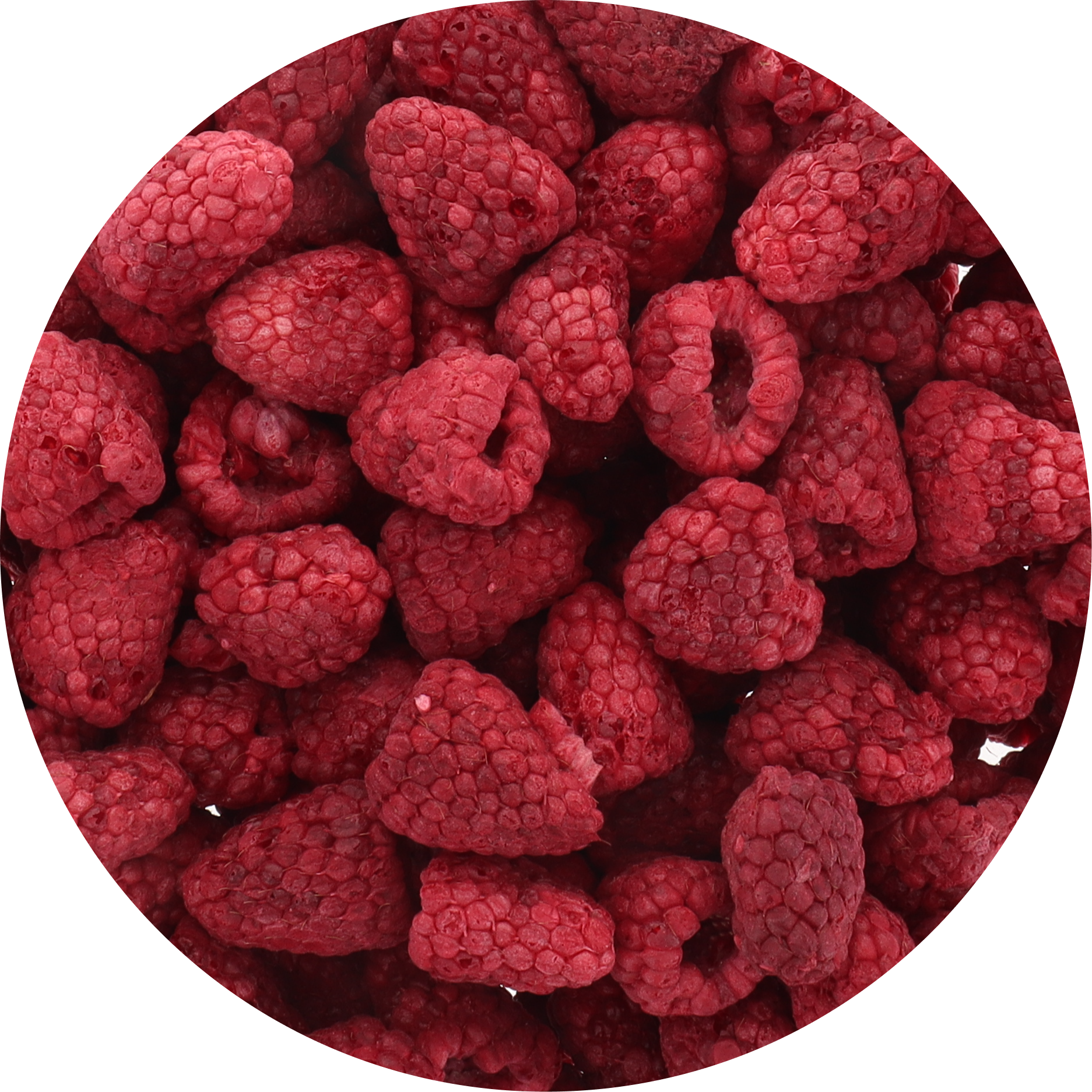 Freeze Dried Whole Raspberry