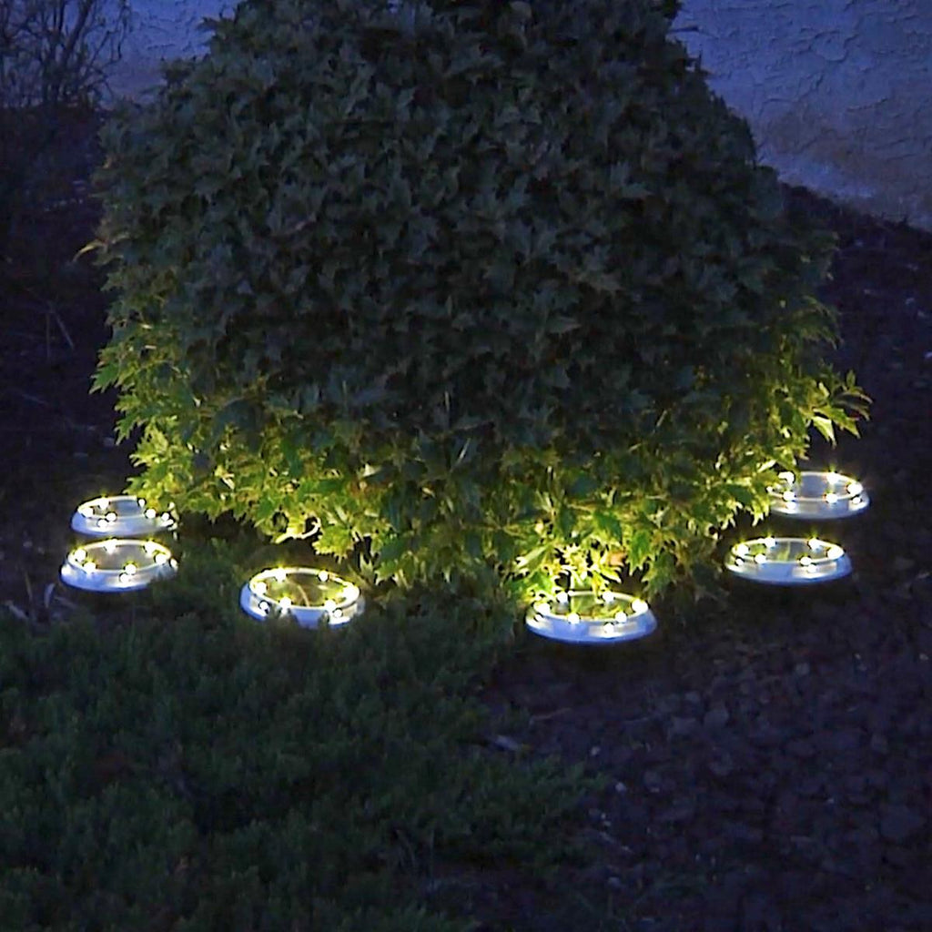 Energizer 10-pc Solar Disc Lights Multi-Direction 20 Lumen