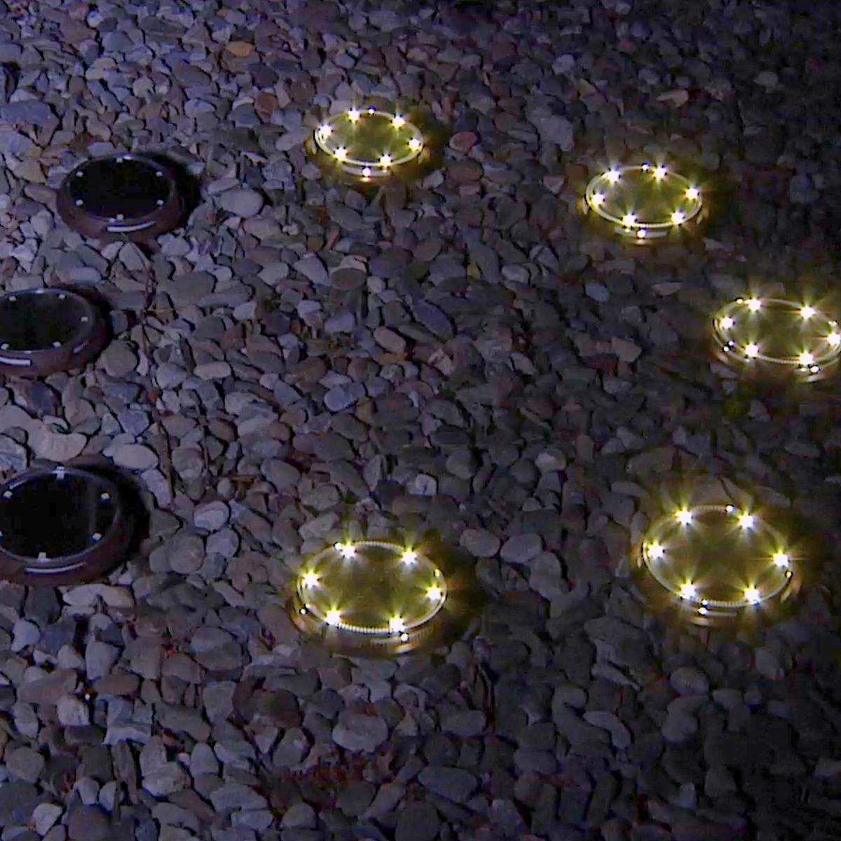 Energizer 10-pc Solar Disc Lights Multi-Direction 20 Lumen