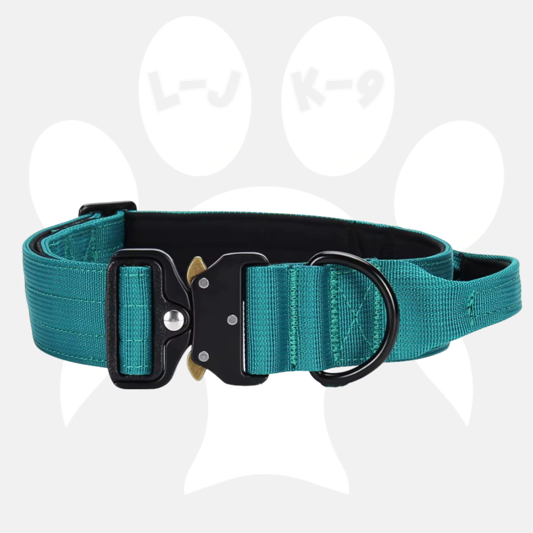 Sleek-Lux Padded Dog Collar